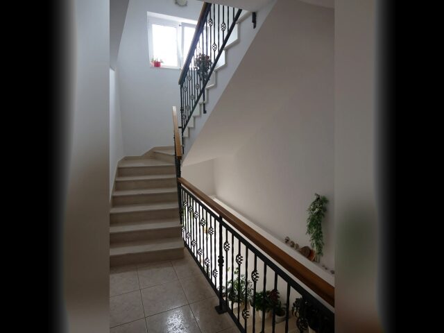 Martinovic photo 1