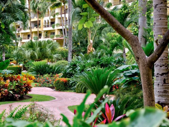 Velas Resort photo 3