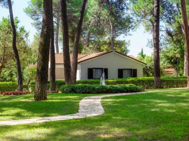 Apartments Galijot Plava Laguna photo 1