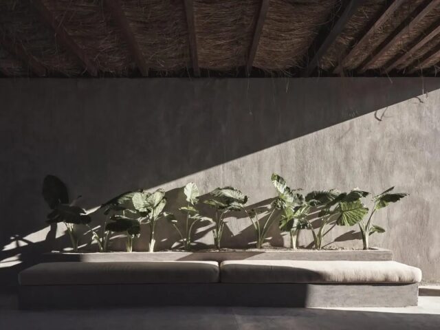 Casa Cook North Coast photo 1