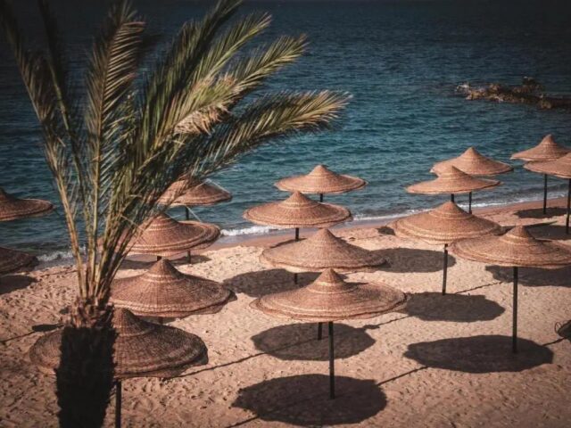 ananea Hurghada photo 0