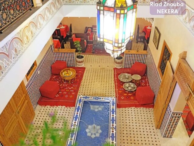 Riad Zanouba photo 3