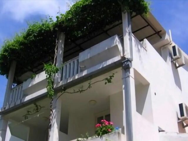 Apartments Jelena 27 photo 1