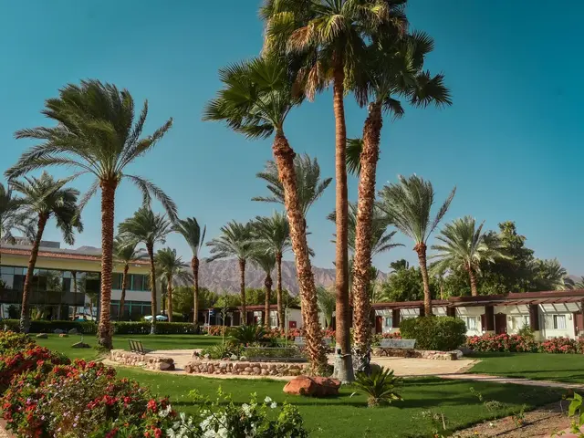 Nuweiba Club Resort photo 2