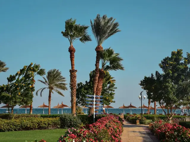 Nuweiba Club Resort photo 3