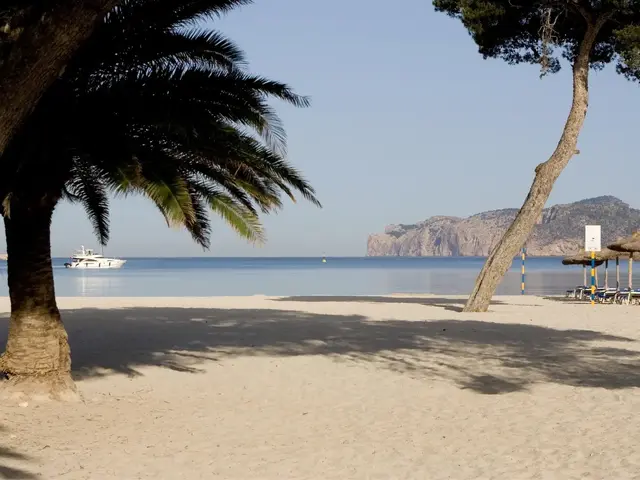 Plazamar Serenity Resort photo 2