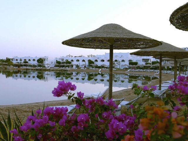 Domina Coral Bay King's Lake photo 3