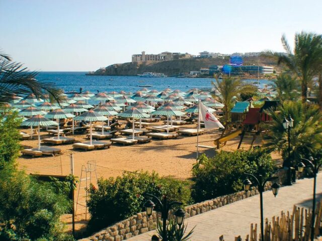 Red Sea Ghazala Beach photo 2