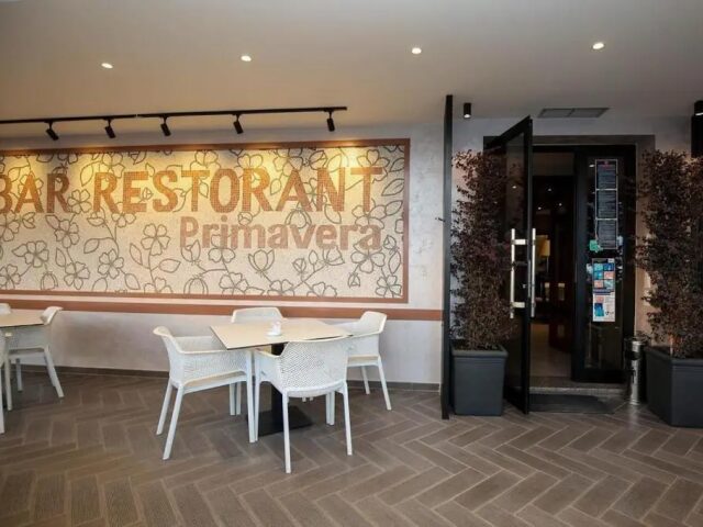 Primavera photo 1