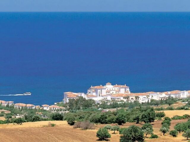 Anassa photo 0