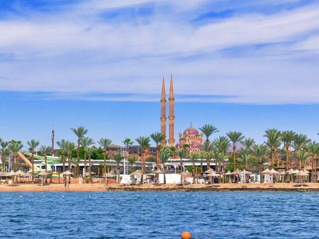 Albatros Sharm Resort photo 3