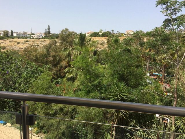 Rio Gardens photo 0