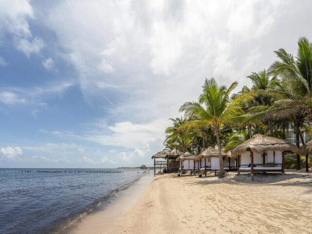 Iberostar Selection Cancun photo 3