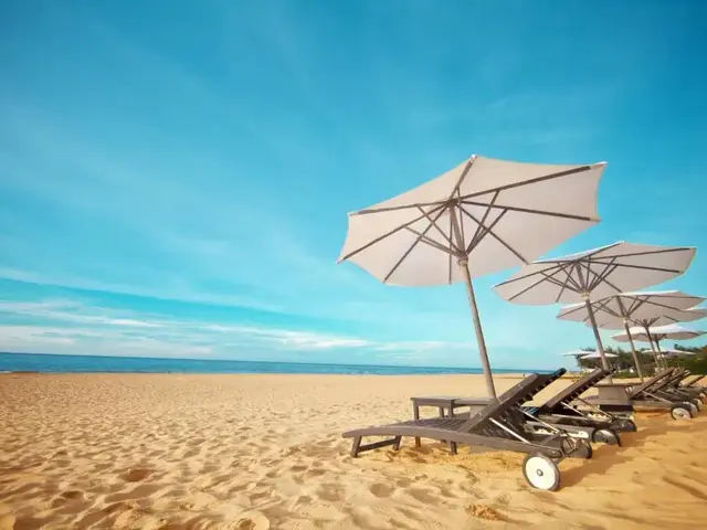 Anantara Mui Ne Resort photo 2