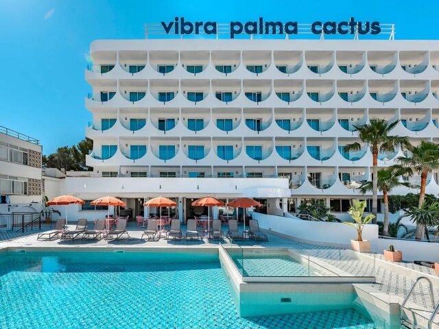 Vibra Palma Cactus photo 1