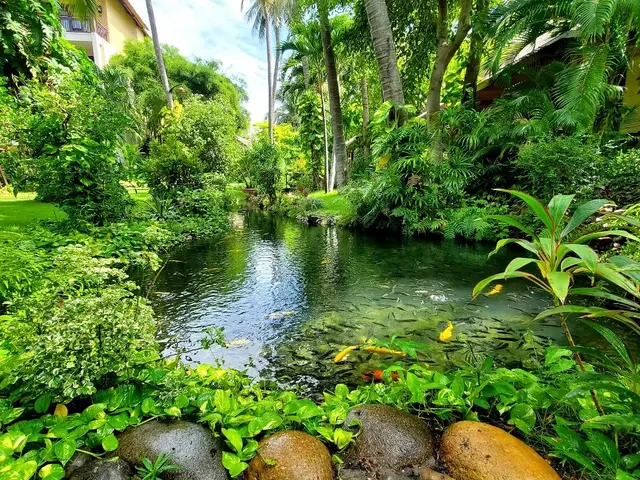 Bamboo Village Beach photo 1