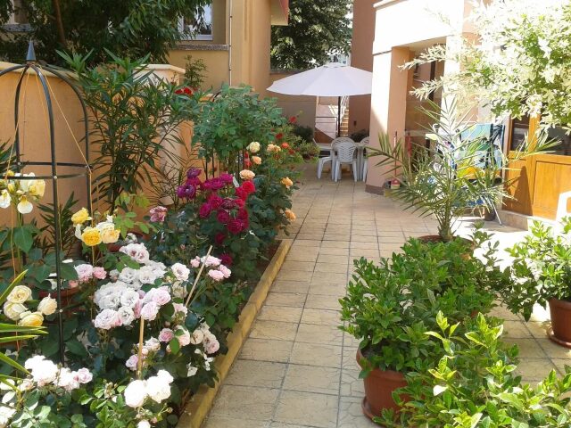 Chuchulev photo 0