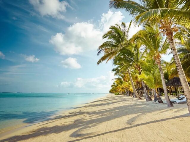 Lux Le Morne photo 3