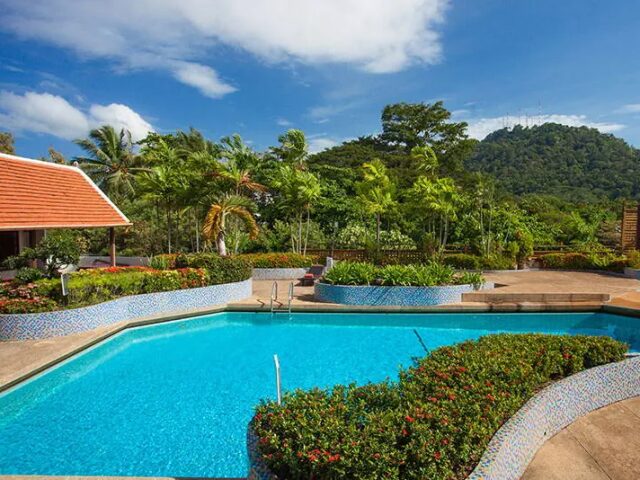 Phuket Merlin
