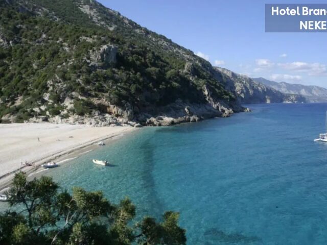 Brancamaria photo 1