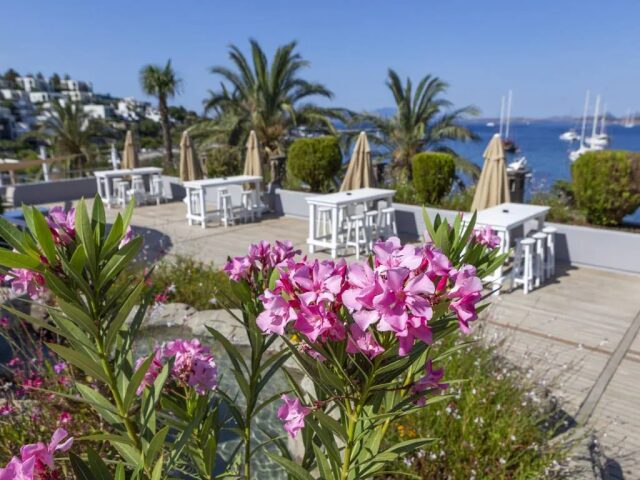 Diamond of Bodrum photo 1