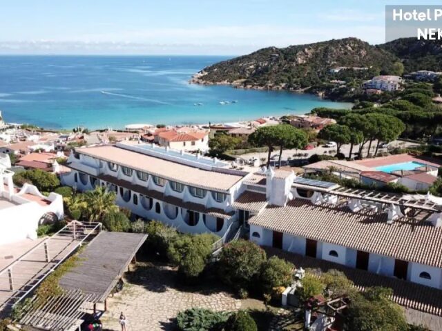 Cormorano