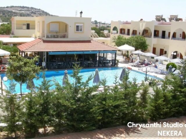 Chrysanthi photo 0