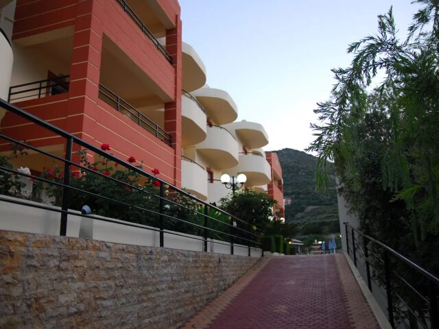 Elpis photo 2
