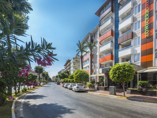 Lonicera City Kleopatra photo 2