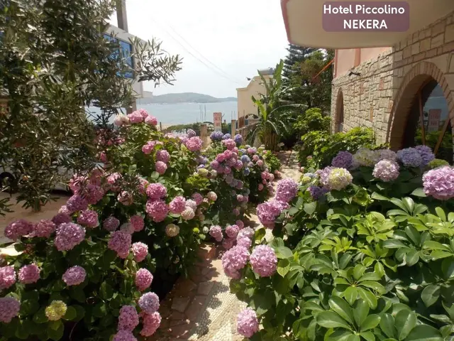 Piccolino photo 3