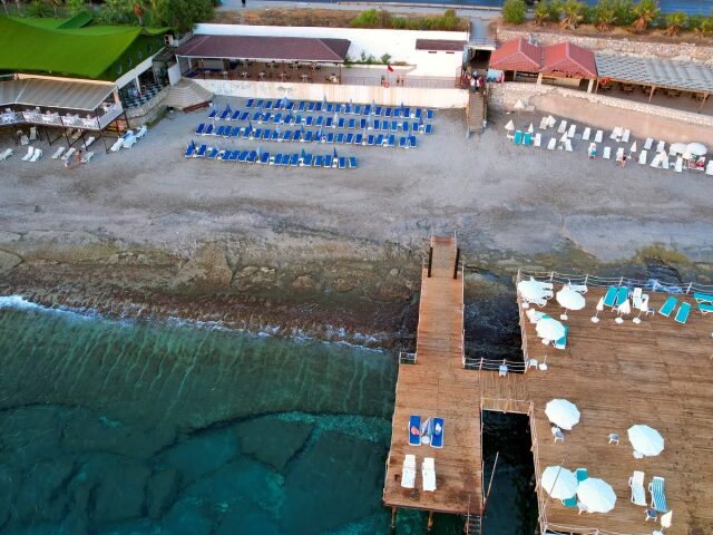 Blue Fish photo 2