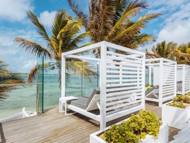 Tropical Attitude photo 3