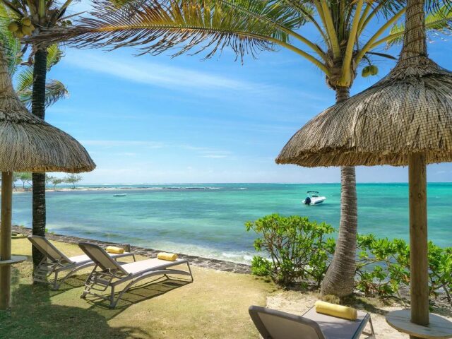 Tropical Attitude photo 0