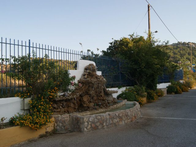Danae photo 3