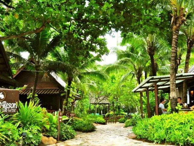 Rabbit Resort Pattaya photo 3
