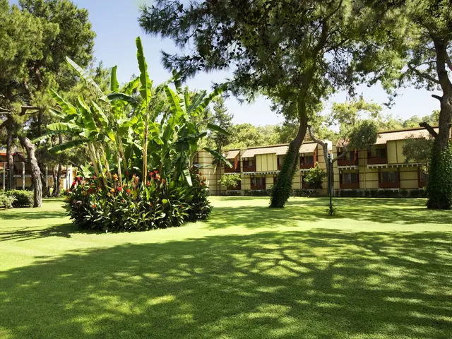 Robinson Camyuva photo 3