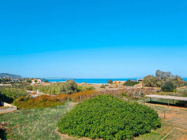 Sunshine Garden photo 3