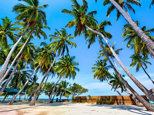 Kaani Beach photo 3