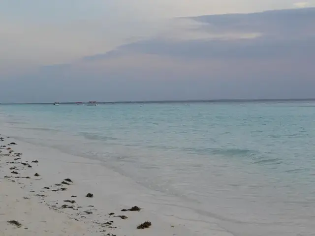 Union Beach Bungalow Zanzibar photo 2
