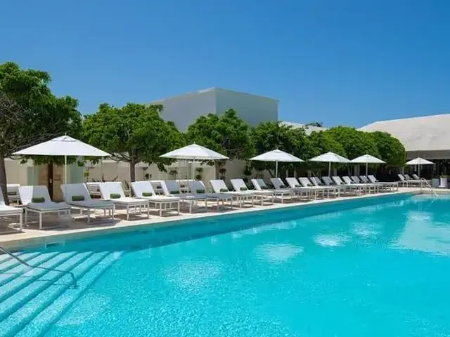 Melia Punta Cana Beach Resort photo 2