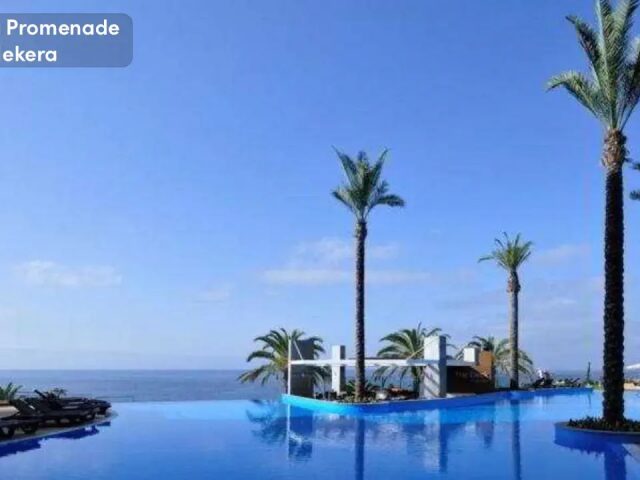 Pestana Promenade photo 3