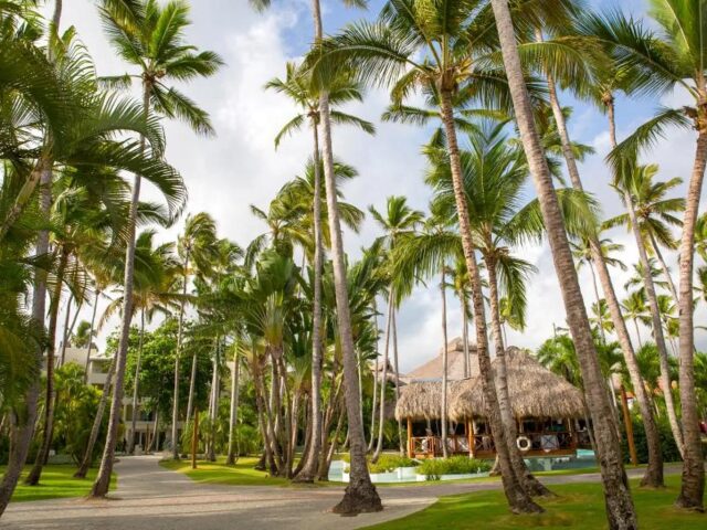 Impressive Premium Resort photo 2