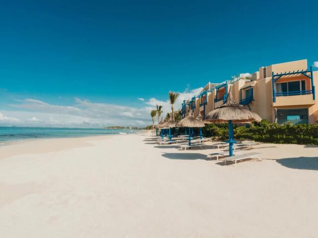 SALT Of Palmar photo 3
