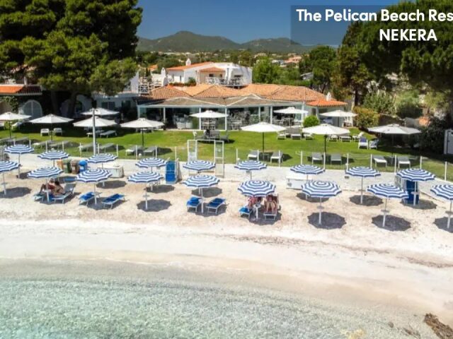 Pelican Beach photo 1