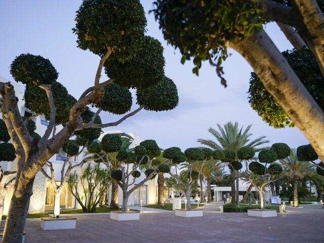 The Mirage Resort & Spa photo 1