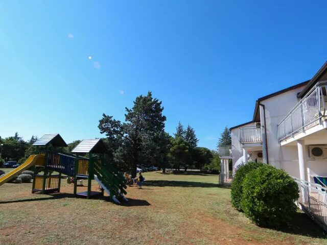Ai Pini photo 3