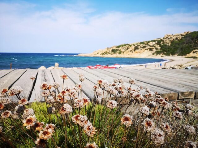 Club Esse Gallura Beach Village photo 3