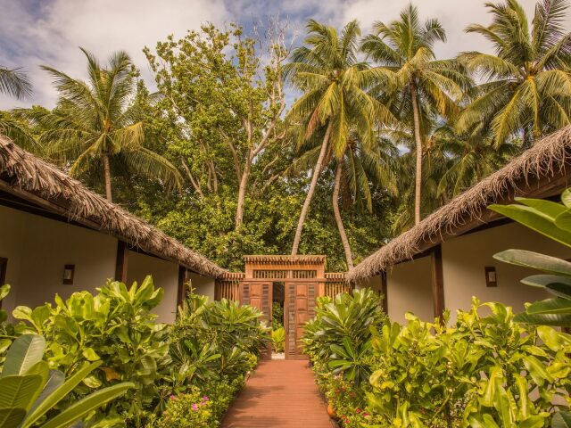 Plumeria Maldives photo 1