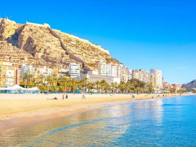 Melia Alicante photo 3