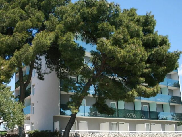 Villa Arausa photo 3